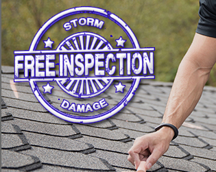 Free Inspection